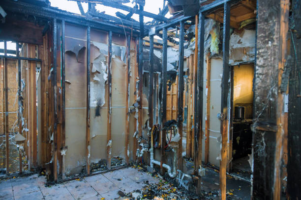 Professional Smoke Odor Removal technician working in Osceola, WI